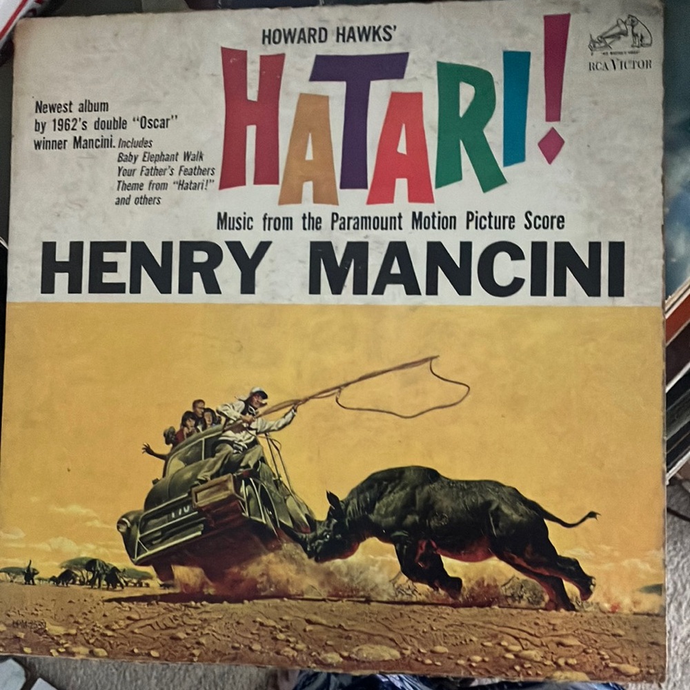 Hatari lp